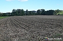 VBS_5339 - La solita strada... il grano da crescere, i campi da arare...